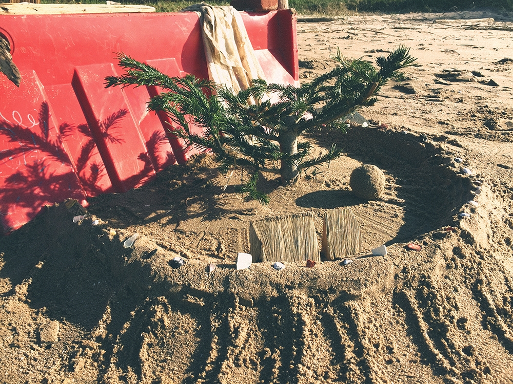 [REDACTED] shorelines