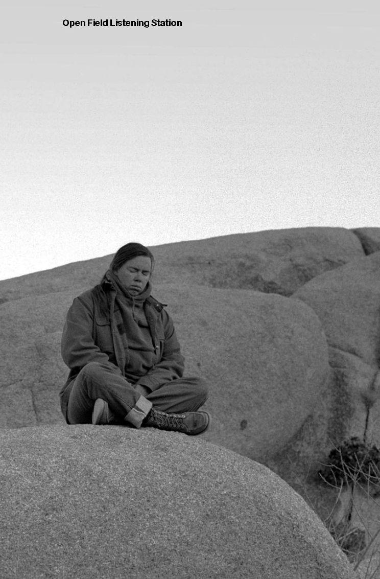 Open Field Listening Station